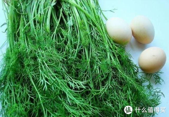 包茴香饺子馅怎么调才好吃?小技巧,饺子太好吃!